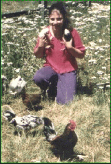 Chicken