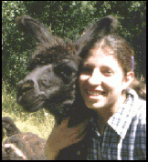 Un llama